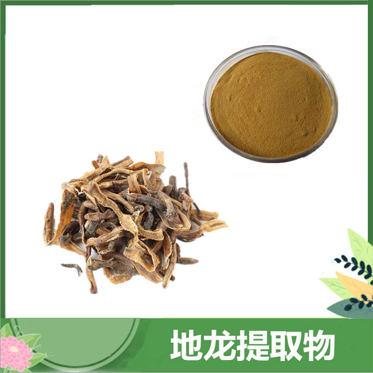 地龙提取物 10:1蚯蚓提取物 地龙蛋白 萃取地龙原料粉 1kg发样
