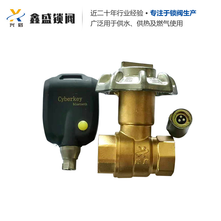 暖气智能锁闭阀 地暖锁闭阀 种类齐全 质量保证