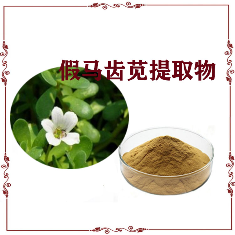 假马齿苋提取物 马齿苋多糖 速溶粉 粉末细腻 质量稳定