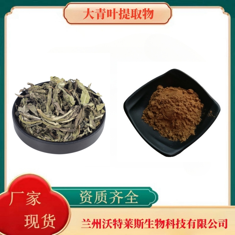 大青叶提取物   大青叶粉   大青叶提取液  全水溶  多种规格   沃特莱斯生物