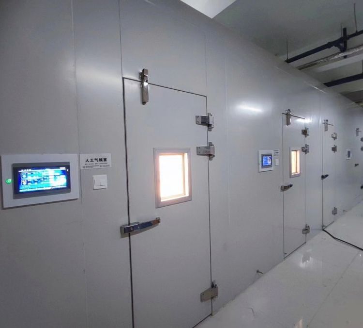 东方鑫鸿 智能人工气候室 DF-QHS 控温 控湿 制冷 加热 光照培养