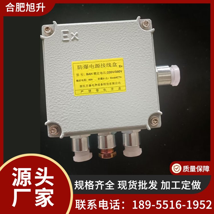 接线盒 伴热电缆分线盒 绝缘防爆 电伴热专用接线