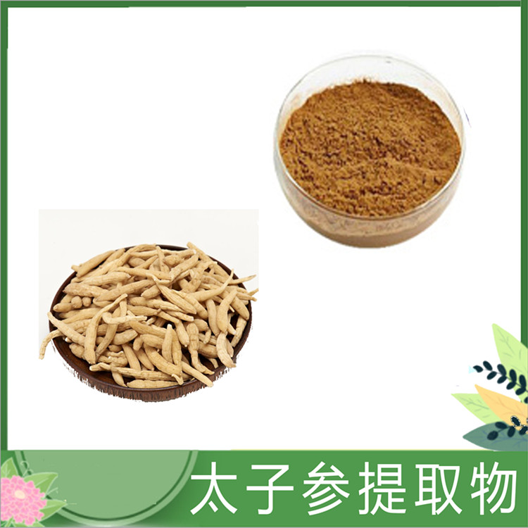 太子参提取物 30:1/50:1太子参浸膏粉 孩儿参/童参比例提取物水溶 订做提取液