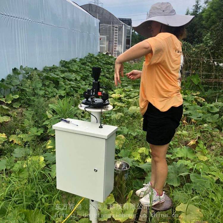 雨量监测系统 4G无线传输 降水监测 东方鑫鸿 DF-YTL