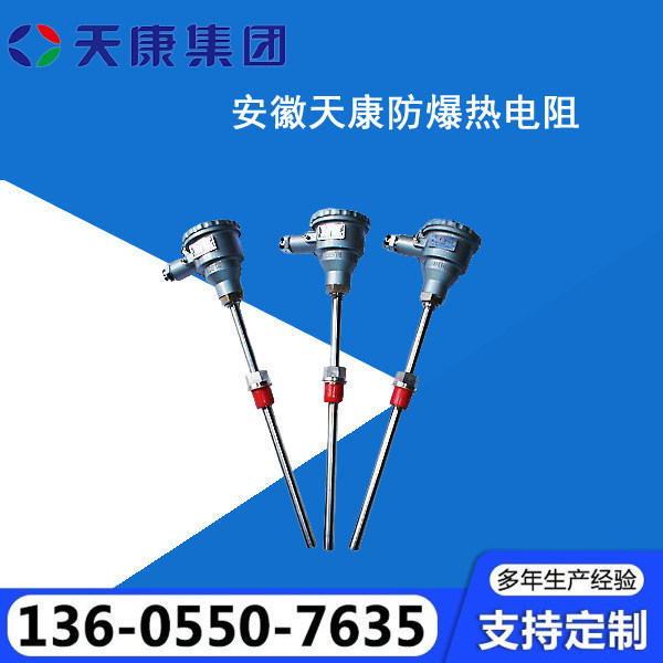 热电阻源头厂家确保产品质量