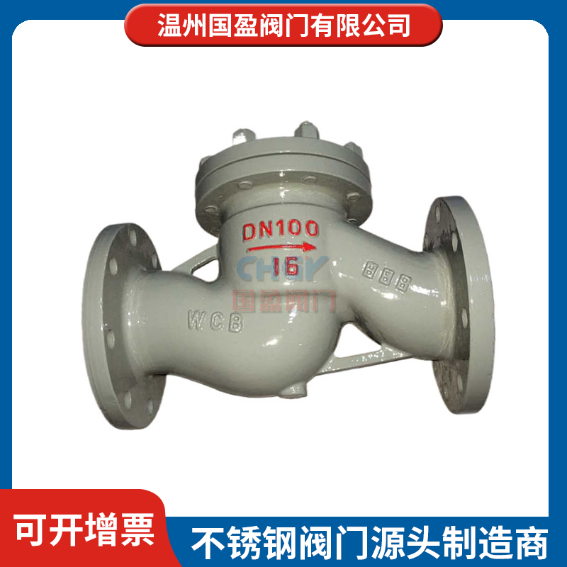 碳钢止回阀工厂 国盈阀门