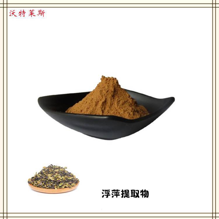 浮萍提取物 速溶粉 浸膏 萃取粉 120目精细粉末  质量稳定