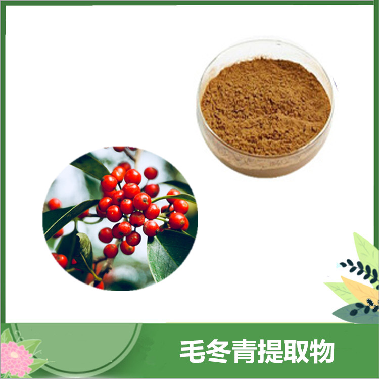 毛冬青黄酮35% 毛冬青比例提取物 植提毛冬青粉 沃特莱斯厂家供应