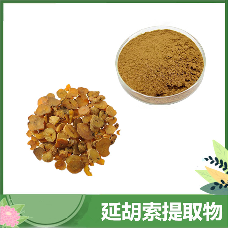 延胡索提取物10:1 子元胡/玄胡比例提取 延胡索乙素 沃特莱斯厂家供应