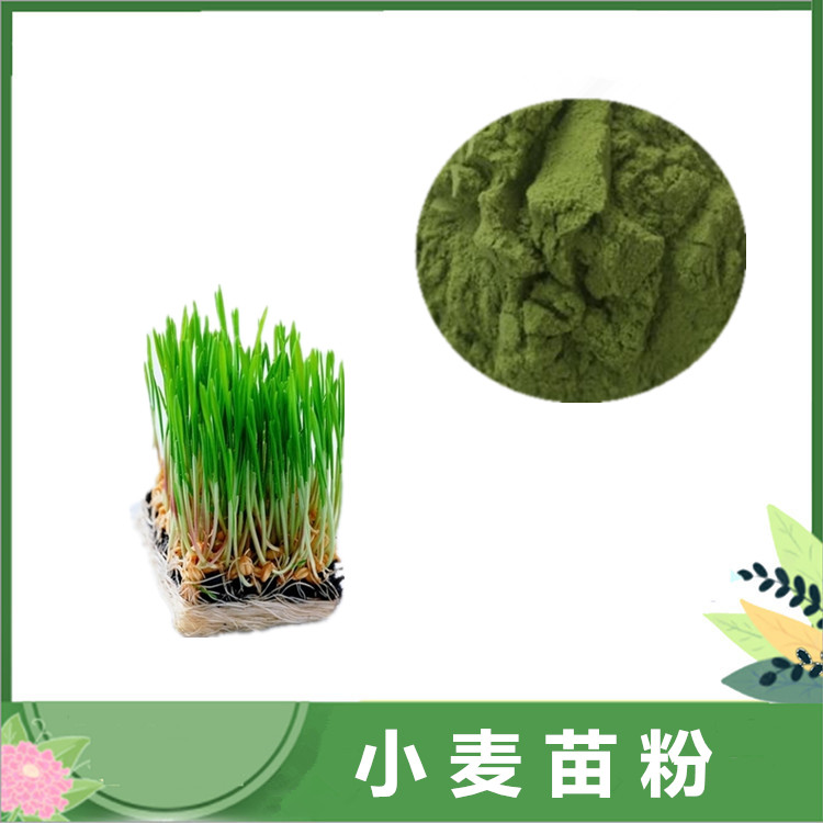 小麦苗粉 10:1/30:1/50:1比例 小麦苗提取物 小麦胚芽萃取粉 水溶性速溶粉 一公斤发样