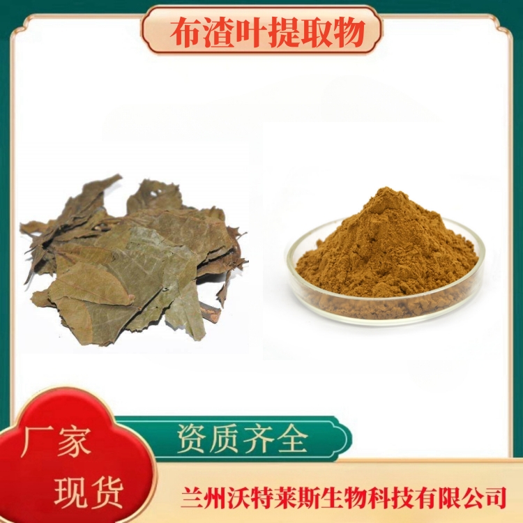 布渣叶提取物  布渣叶粉  布渣叶提取液  布渣叶浸膏  食品级  多种规格  沃特莱斯生物