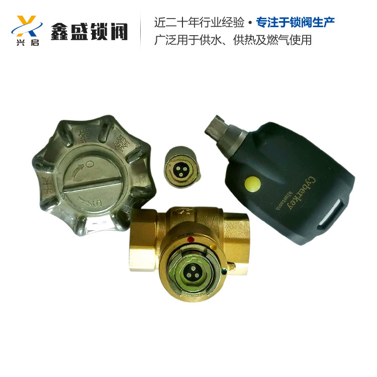 电子锁闭阀   智能锁闭阀  丹东鑫盛锁阀