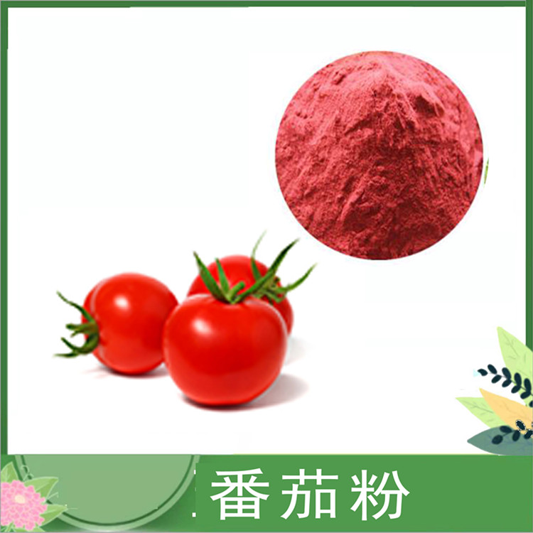 柿子粉 果蔬汁粉喷雾干燥 番茄粉 水溶番茄果粉 代餐饮料烘焙原料 免费发样
