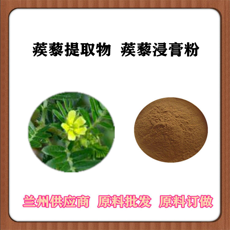 10:1刺蒺藜浓缩粉 刺蒺藜提取物 刺蒺藜皂甙 植物茨蒺藜萃取原料 免费发样