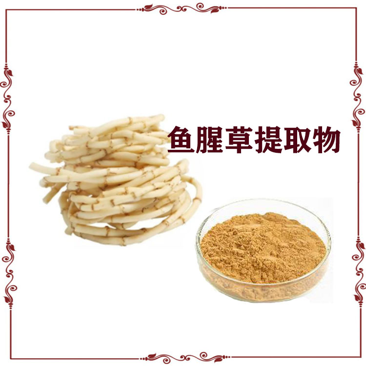 鱼腥草提取物 速溶粉 浸膏粉 粉末细腻 质量稳定 支持拿样