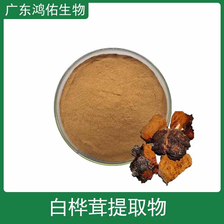 桦树茸提取物 桦树茸多糖 萃取粉 沃特莱斯生物 支持拿样