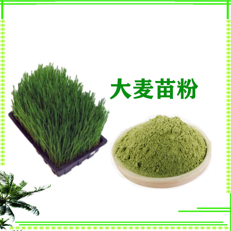 大麦苗粉 速溶粉 提取物 绿色粉末 质量稳定