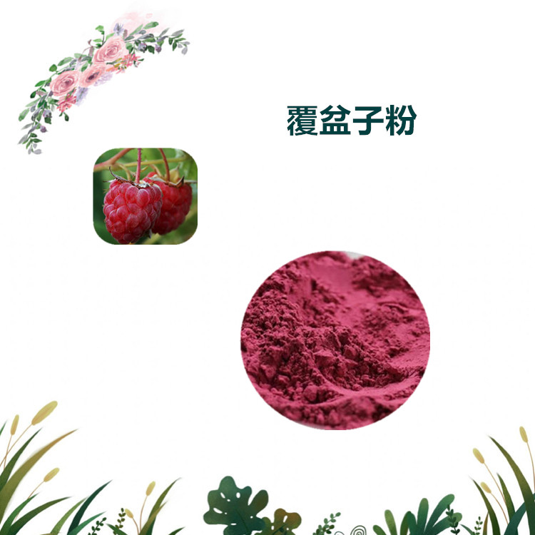 沃特莱斯生物 覆盆子果粉 覆盆子提取物 水溶粉 1公斤起订
