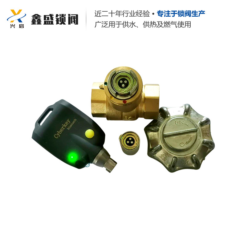 电子锁闭阀 智能锁闭阀 自来水锁闭阀  兴启制造