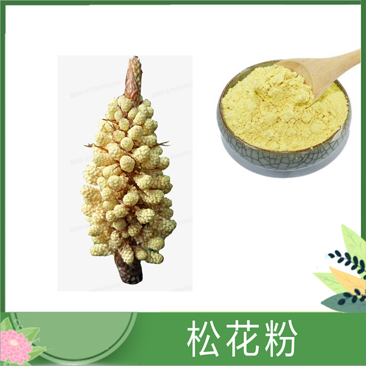 松花粉提取物 30:1/50:1规格松黄比例提取物 破壁松花粉 松花粉 量大从优