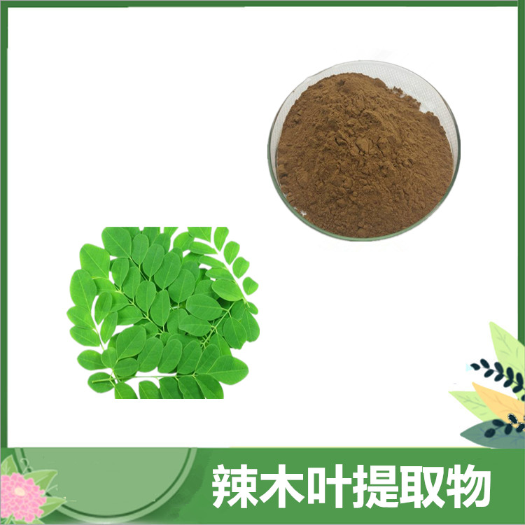 30:1/50:1辣木粉 辣木叶比例提取物 印度鼓槌树叶萃取 水溶性原料
