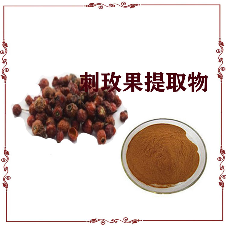 刺玫果提取物 速溶粉 喷雾干燥粉 120目精细粉末 质量稳定