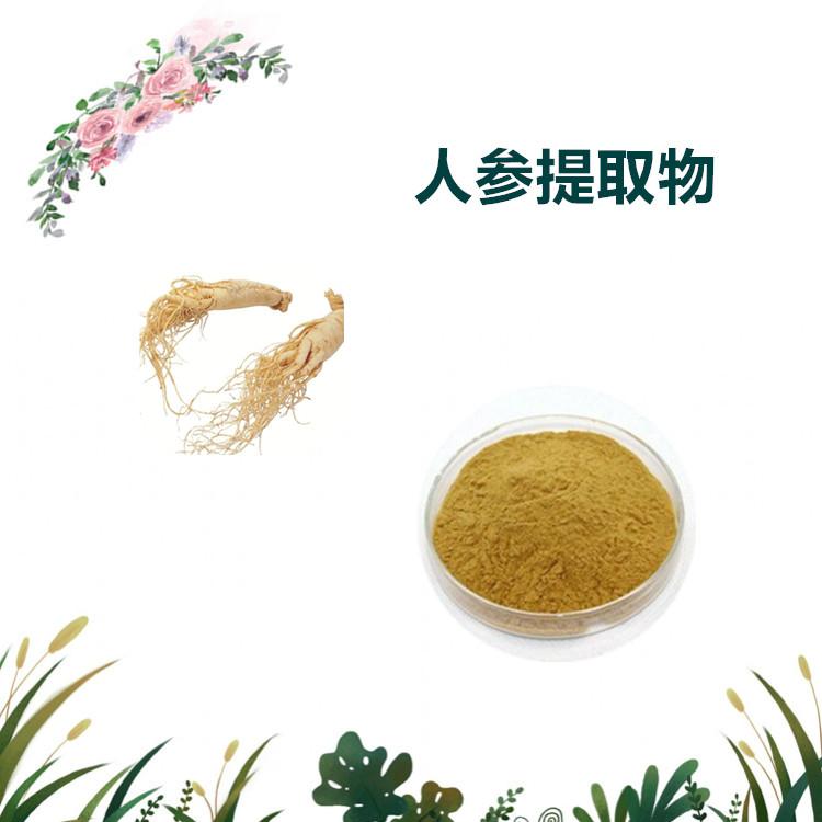 沃特莱斯生物 人参提取物 人参皂甙 人参粉 1公斤起订 可寄样
