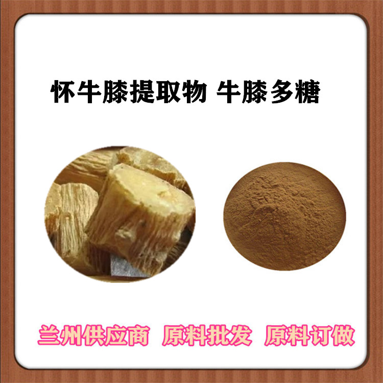 怀牛膝提取物10:1 怀牛膝多糖50% 土牛膝浓缩粉 怀牛膝提取液 食品级