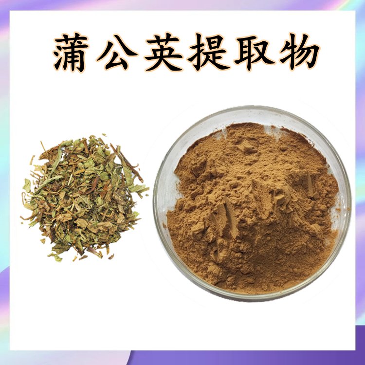 蒲公英提取物 10:1 蒲公英黄酮 速溶粉 浸膏粉 120目精细粉末 全水溶