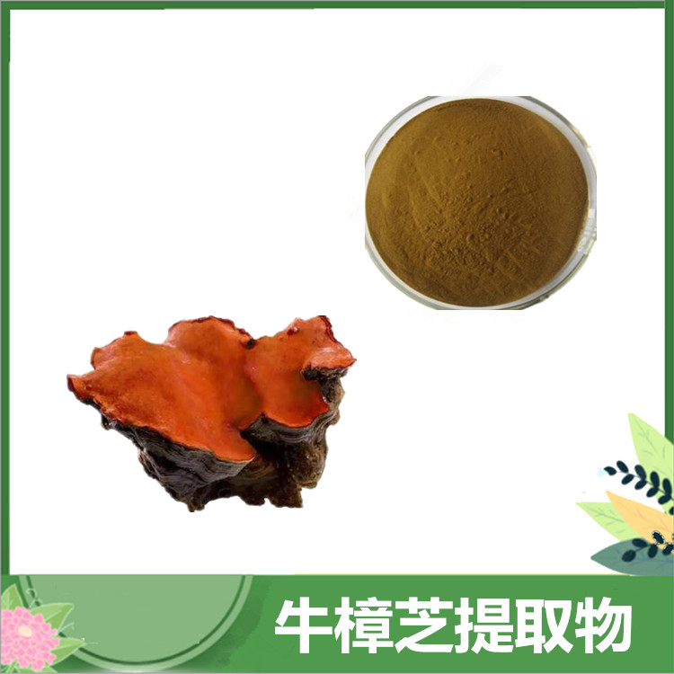 牛樟芝多糖 30%50%含量 牛樟芝/牛樟菇提取物 牛樟芝三萜 SC厂家供应