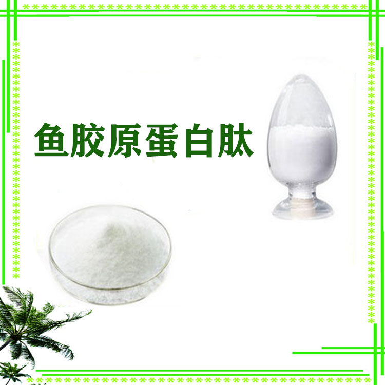 鱼胶原蛋白肽 小分子肽 500-1000道尔顿 精细粉末 水溶性好