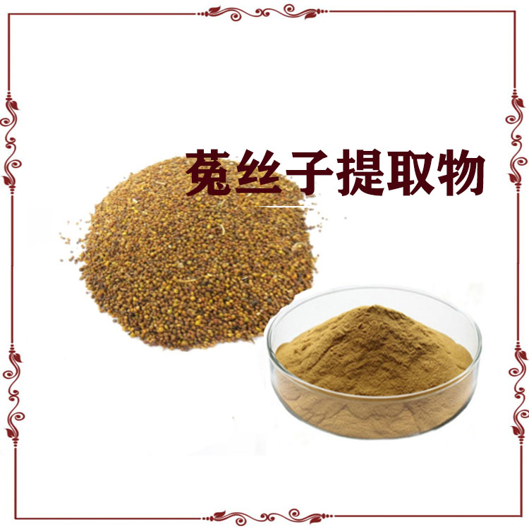菟丝子提取物 浸膏粉 速溶粉 120目精细粉末 支持拿样