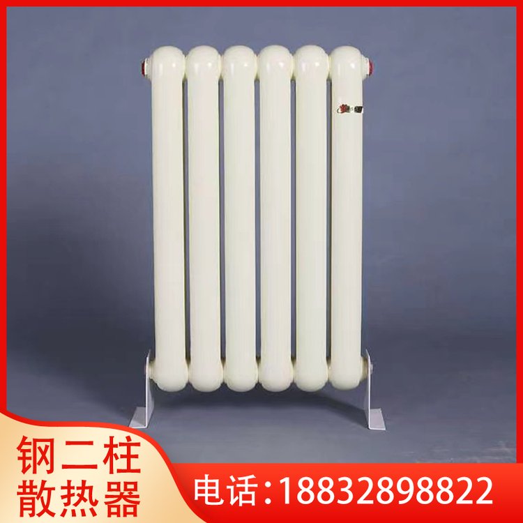柱型散热器 SCGGZT2-1.0/900-1.0 圣玫首斯 学校用 散热面积 0.5㎡