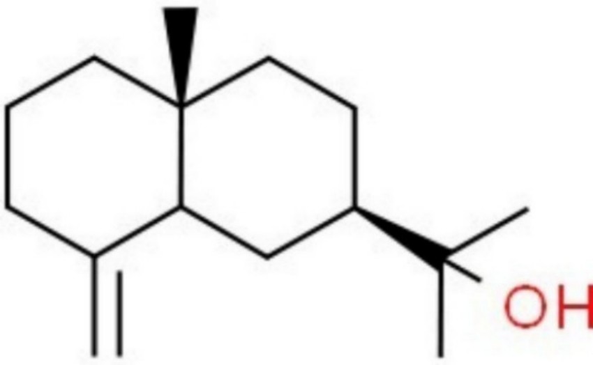 A-043_ β-桉叶醇_473-15-4_C15H26O