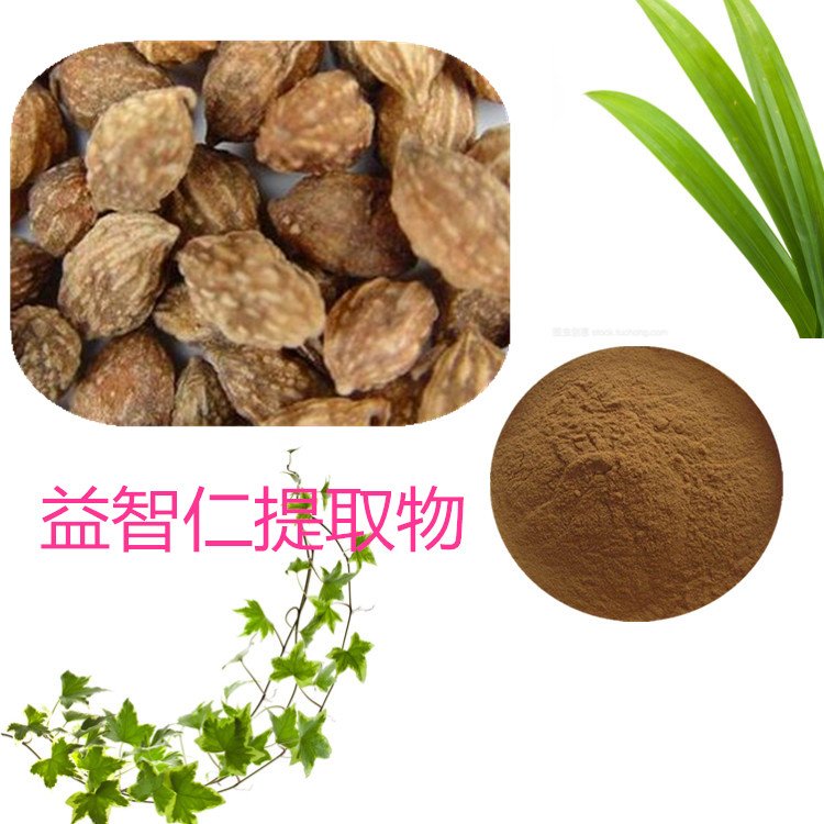 益智仁提取物 速溶粉 浸膏粉 小分子肽 质量稳定 可寄样