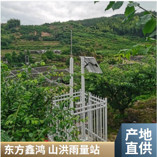 山洪预警灾害监测系统 DF-YL 东方鑫鸿 4G无线传输 降雨量/位移滑坡