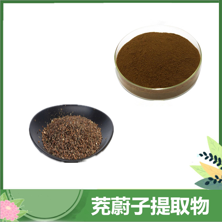 30:1/50:1比例 茺蔚子提取物 益母草子萃取 茺蔚子/冲玉子粉 全水溶 免费发样