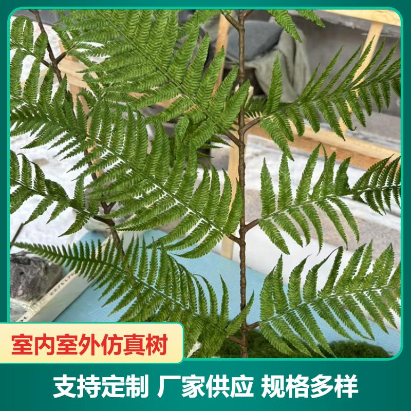 手工造景 绿植墙 绿意盎然 按现场施工 飞昂园林