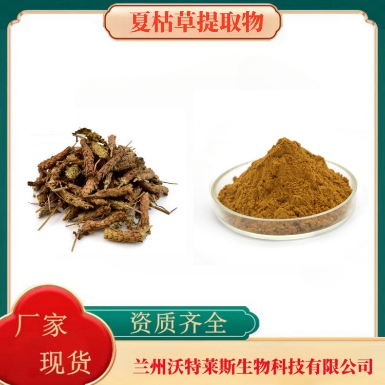 夏枯草提取物  夏枯草粉  夏枯草提取液  夏枯草浸膏  食品级  多种规格  沃特莱斯生物