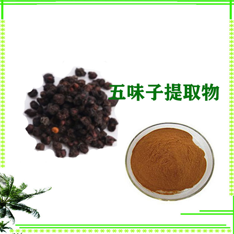 五味子提取物 萃取粉 喷雾干燥粉 120目精细粉末 大量库存