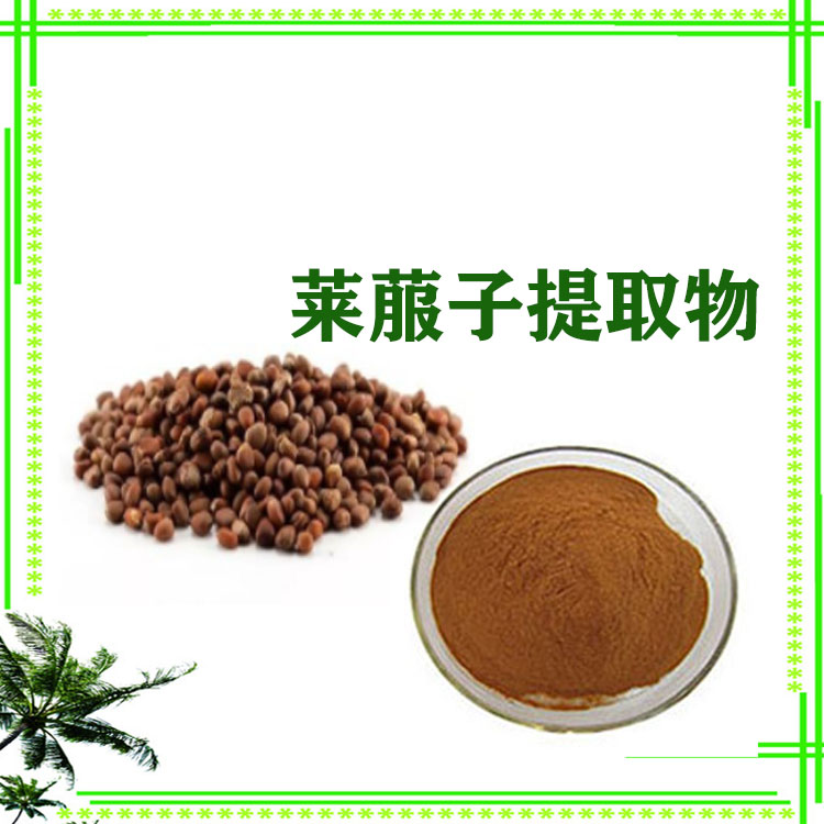 莱菔子提取物 速溶粉 原粉 喷雾干燥粉 多种规格 可寄样