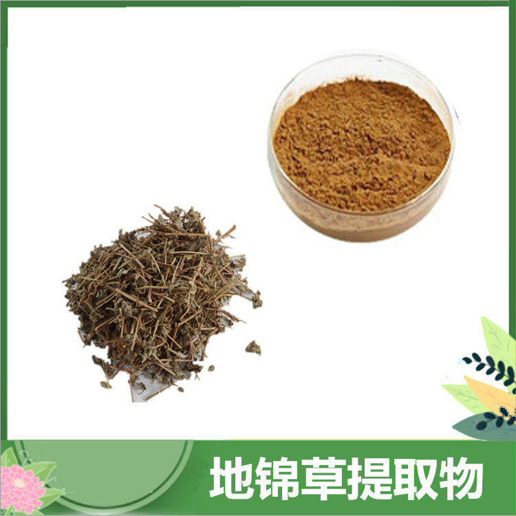 10:1地锦草粉 地锦草提取物 /地锦草黄酮 水溶性 乳汁草原料粉 沃特莱斯批发