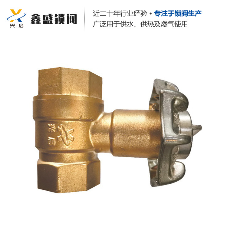 供应各种规格暖气智能锁闭阀 暖气入户锁闭阀 功能多样