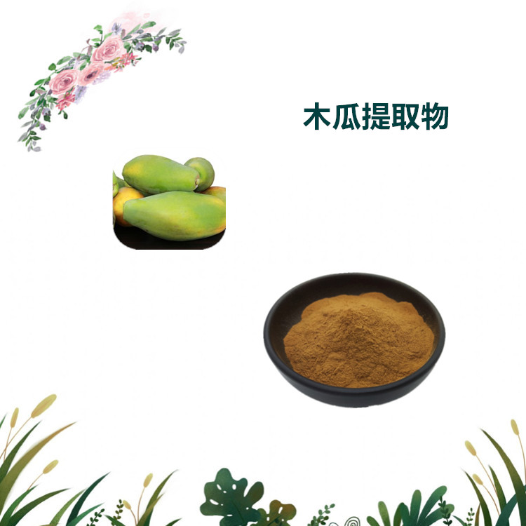 沃特莱斯生物 木瓜提取物 木瓜提取液 水溶性粉末 可定制