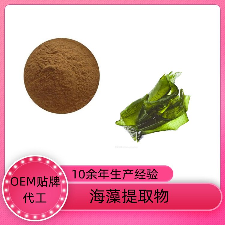 海藻粉 海藻提取物 120目精细粉末 沃特莱斯生物 支持拿样