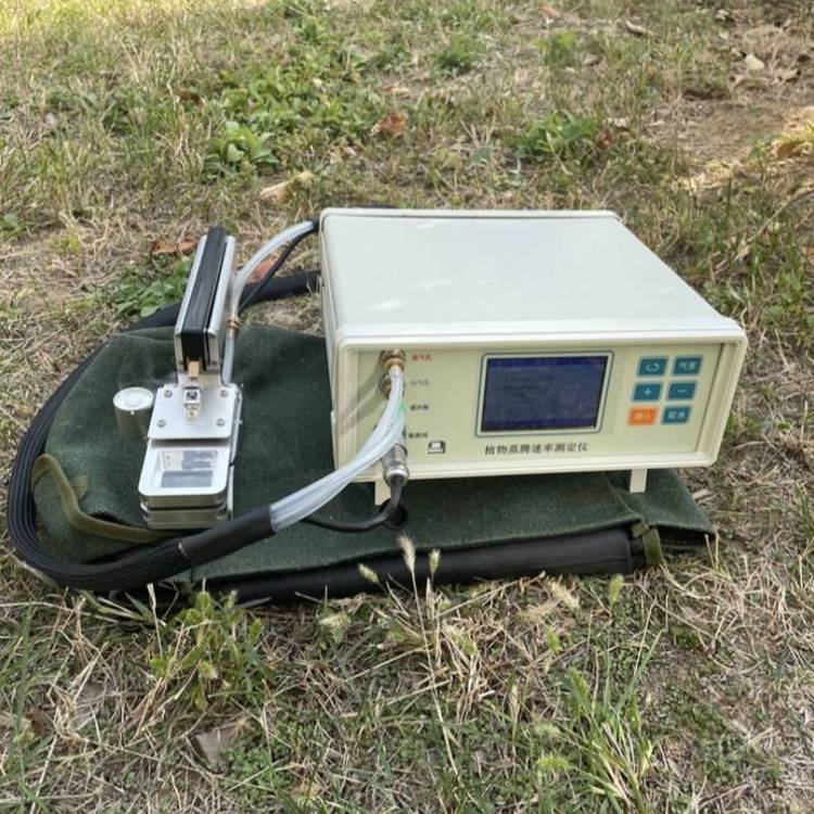 光合作用测定仪 蒸腾速率 DF-3080D 气孔计 东方鑫鸿