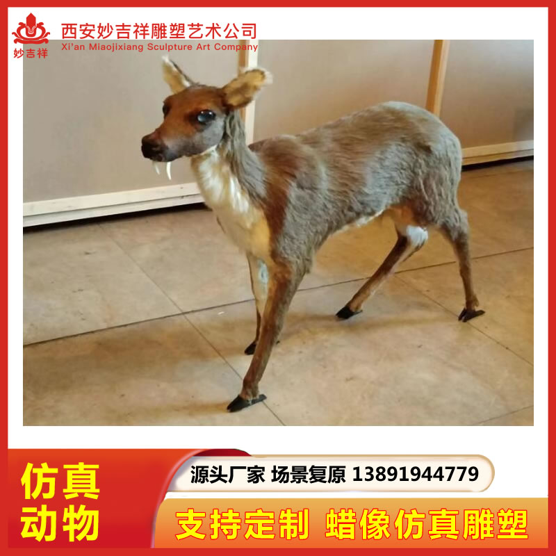 手工定制仿真猴子 实比例制作 动物标本 动物模型 支持代发