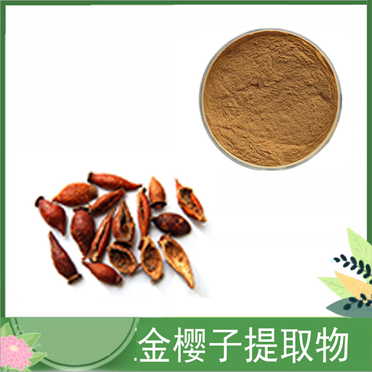 金樱子提取物 30:1/50:1金樱子浓缩粉 皂甙 刺榆子提取物10:1 喷雾干燥 包邮