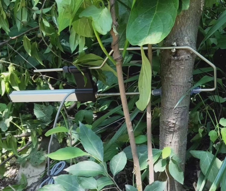 植物茎秆生长监测系统 东方鑫鸿 DF-SZ 4G无线传输 太阳能供电