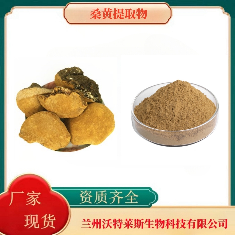 桑黄提取物  全水溶    桑黄粉 10:1 桑黄比例提取物 现货供应| 包邮